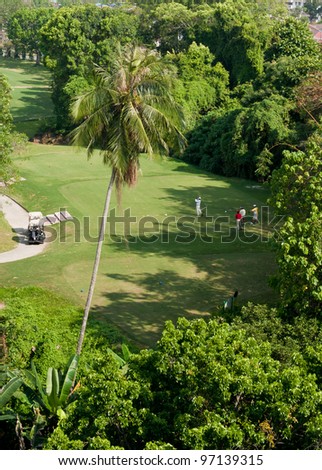 golf player teeing off in a tropical golf course