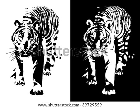 Black And White Tiger. Vector - 39729559 : Shutterstock