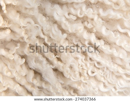 Curly white lamb skin