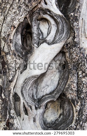 tree art skin