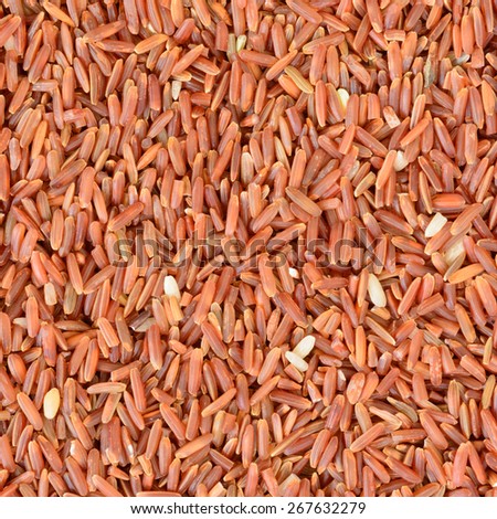 texture of red rice grain (red jasmine rice) for background