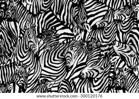 Texture fabric of zebra herd for background