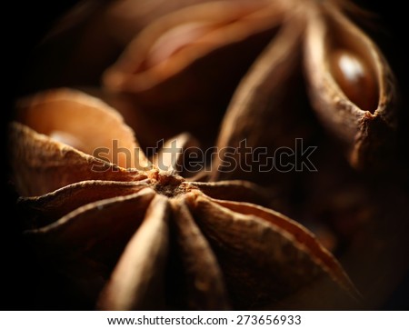 Star anise seeds. Blurred background