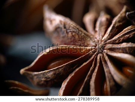 Star anise seeds. Macro. Blurred background