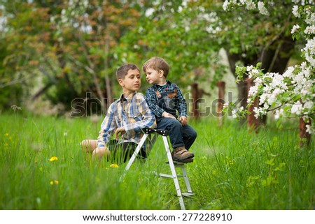 happy brothers on a ladder playing in the garden