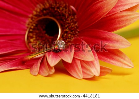 stock photo wedding and engagement ring on a gerbera flower 
