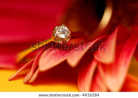 wedding and engagement ring on a gerbera flower, summer wedding concept.