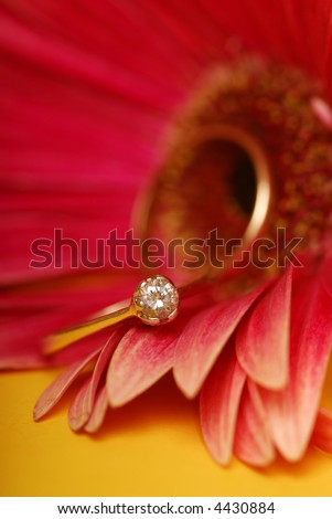 stock photo wedding and engagement ring on a gerbera flower 