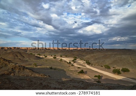 Dry river in the Gobi desert