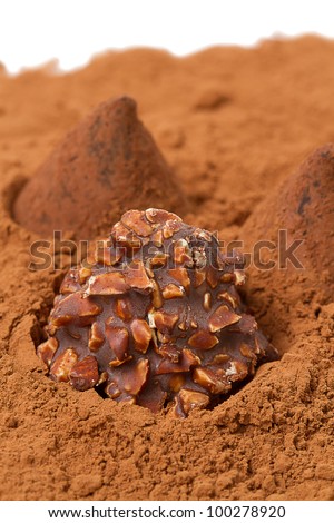 Chocolate Truffles with nuts and cocoa powder on a white background
