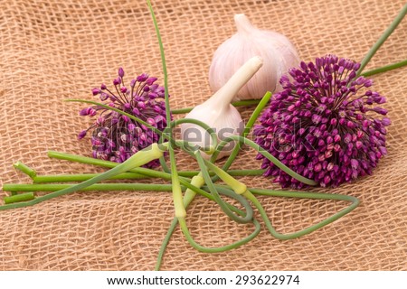 Three varieties of garlic (flower, arrow,  head) on sacking