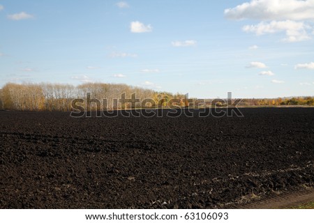 Arable earth (black earth) in autumn after harvesting