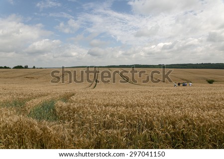 Treatment of the field of wheat in Ukraine on a background blue sky and clouds. Agriculture.