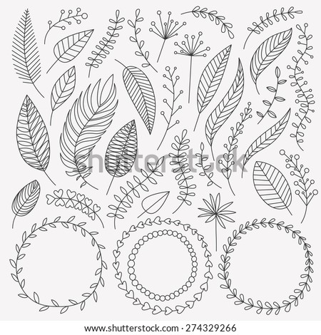 Vector hand drawn leaves set. Collection of Vintage elements. Greeting stylish illustration of leaves, flowers, berries, twigs, wreaths. Good for card, invitation, poster, web page design, journaling