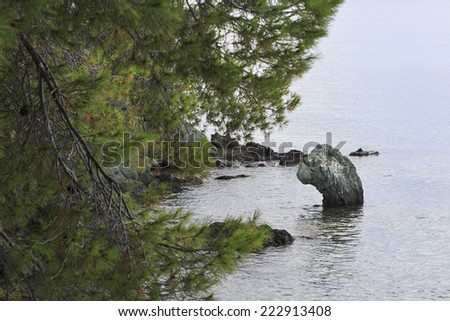 Green stone looks out of sea (head of dinosaur). Sithonia peninsula. Greece.