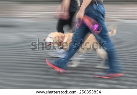 Man and woman walking with a dog. Intentional motion blur