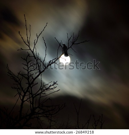 Raven and full moon night