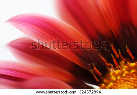 Abstract blurred flowers. Intentional motion blur. Abstract beautiful flower, colorful floral background , wet red petals, nature macro details
