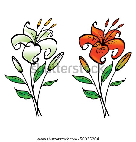 stock vector : White and Tiger Lily