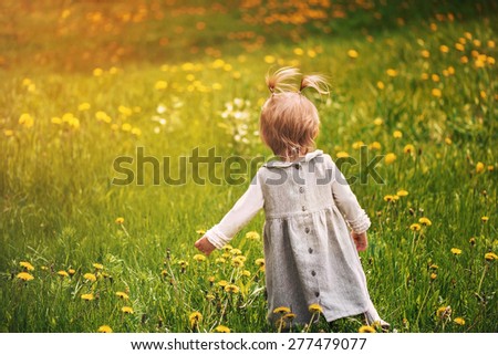 little girl learning to walk sunny summer, taking the first steps in a meadow of green grass and dandelions