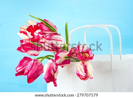 Beautiful bouquet of bright pink tulips, flowers in a paper bag  on a blue background for mother\'s day, birthday, march 8, greeting concept