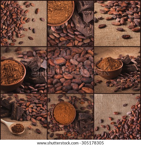 Set of different  cocoa beans and chocolate pictures. Crude dark cocoa powder in a ceramic bowl, raw cocoa beans in the peel and chocolate on sacking close up, ingredients for preparing chocolate