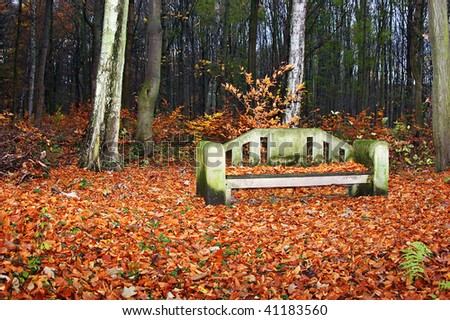 Stone bench covered with leave in the fall forest in the horizontal format
