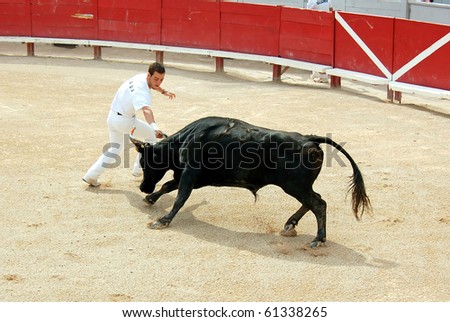 ARLES - JULY 9:  Trainees of the school for Rasateur in Arles  Florent  Dijaux fights against a Camargue-bull in the arena on July 09, 2010 in Arles, Bouche du Rhone, Fance