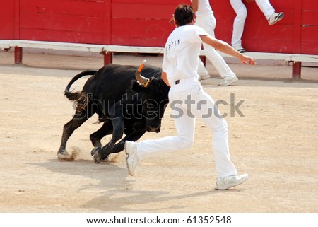 ARLES - JULY 9: Trainees of the school for Raseteur in Arles Anthony  Martin fights against a Camargue-bull in the arena on July 09, 2010 in Arles, Bouche du Rhone, Fance