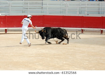 ARLES - JULY 9: Trainees of the school for Raseteur in Arles Thomas Blanc fights against a Camargue-bull in the arena on July 09, 2010 in Arles, Bouche du Rhone, Fance