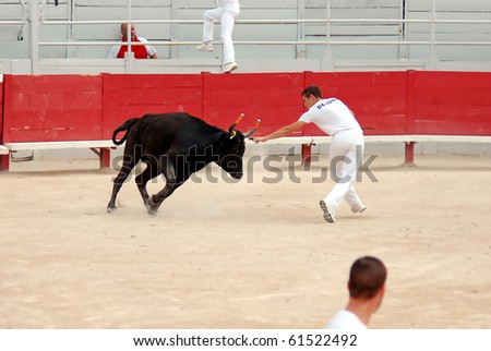 ARLES - JULY 9: Trainees of the school for Raseteur in Arles Valentin Deidda  fights against a Camargue-bull in the arena on July 09, 2010 in Arles, Bouche du Rhone, France