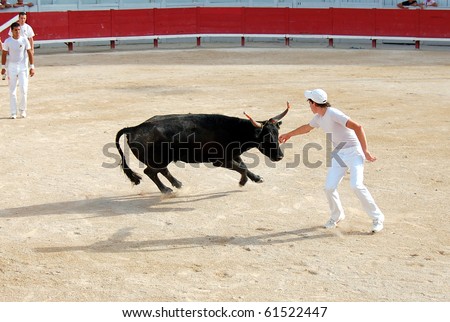 ARLES - JULY 9: Trainees of the school for Raseteur in Arles Thomas Blanc  fights against a Camargue-bull in the arena on July 09, 2010 in Arles, Bouche du Rhone, France