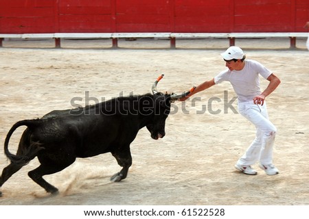 ARLES - JULY 9: Trainees of the school for Raseteur in Arles Thomas Blanc  fights against a Camargue-bull in the arena on July 09, 2010 in Arles, Bouche du Rhone, France