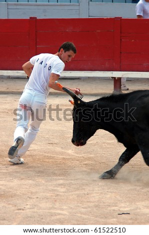 ARLES - JULY 9: Trainees of the school for Raseteur in Arles Florian Rado  fights against a Camargue-bull in the arena on July 09, 2010 in Arles, Bouche du Rhone, France
