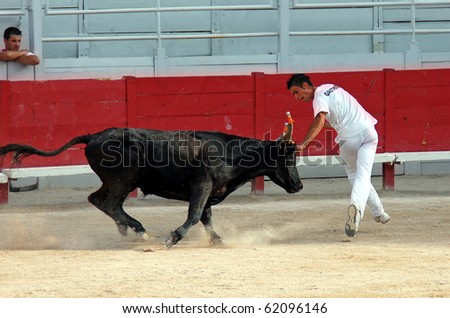 ARLES, FRANCE - JULY 9: Trainee of the school for Raseteur in Arles Kevin Daumas fights against a Camargue-bull in the arena on July 09, 2010 in Arles, Bouche du Rhone, France