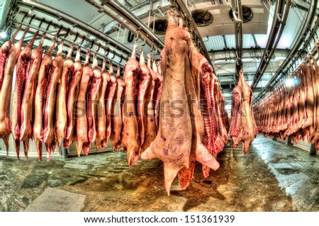 Fresh meat pigs in a cold cut factory