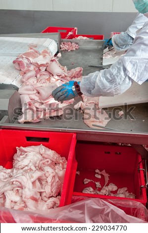 close up of meat processing in food industry
