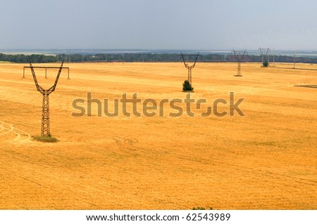 transmission line located on a wheat field