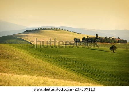 Rolling hills in summer. Pienza, Tuscany, Italy