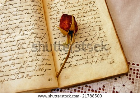 Dried red rose on an open old book on a lacy tablecloth