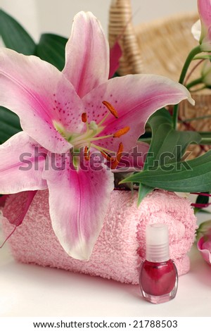 Closeup of a pink lily on a pink towel and purple nail polish