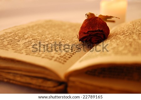 Dried red rose on an open old book by the candlelight