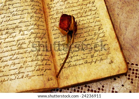 Dried red rose on an open old book on a lacy tablecloth with a grunge effect