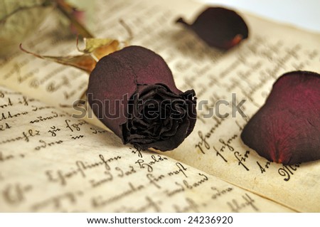 Dried red rose and rose petals on old book