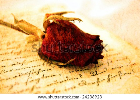 Dried red rose on an open old book in romantic light with the aged effect