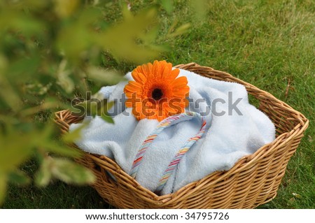 Wet orange gerbera on a soft blue blanket in a wicker basket  in sunshine under the tree