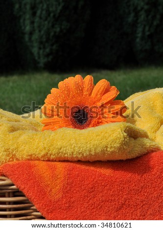 Wet orange gerbera and soft towels in a wicker basket