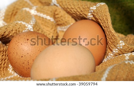 Three fresh eggs on cloth in sunshine