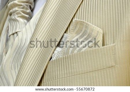 Groom\'s torso with golden tie, handkerchief and suit.