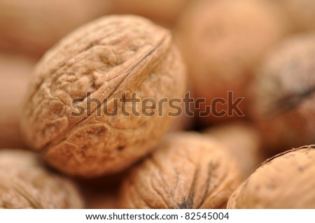 Walnuts in full frame, focus on one